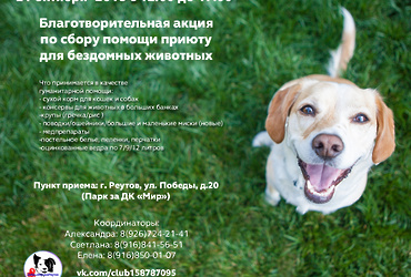 «Большая помощь маленькому другу»