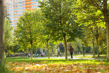 План мероприятий в Реутове