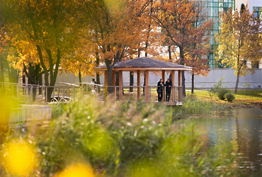 План мероприятий в Реутове