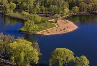 Жители Подмосковья могут выбрать пруд для очистки в 2023 году