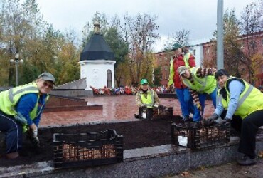 Высадка тюльпанов
