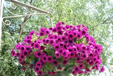 Готовим сани летом, а телегу зимой!