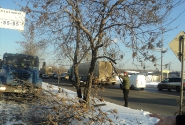 Отголоски декабрьского обледенения