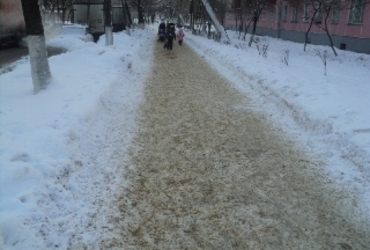 Зима вступила в свои права