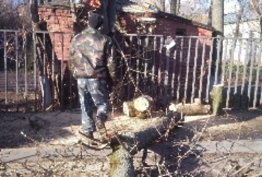 МУП «Озеленение и благоустройство»