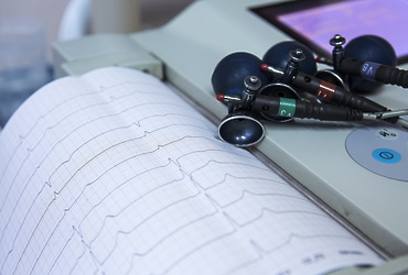 Приглашаем