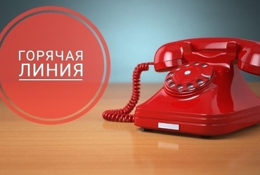 О проведении «горячей линии»