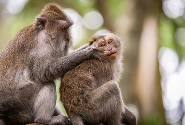 Роспотребнадзор информирует