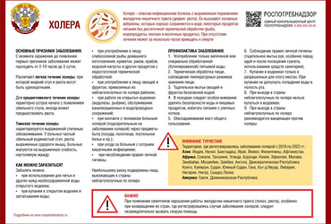 О профилактике холеры