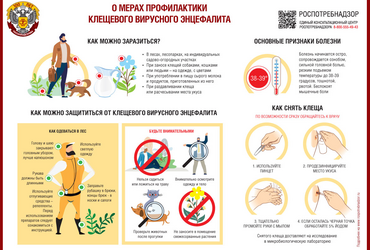 О мерах профилактики инфекций, переносчиками которых являются клещи