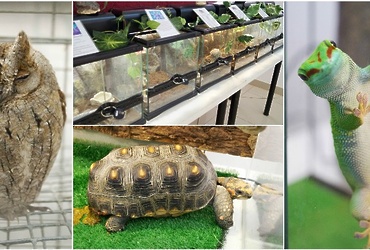 7 сентября‑22 октября — Выставка экзотических животных «Зоопарк за стеклом»