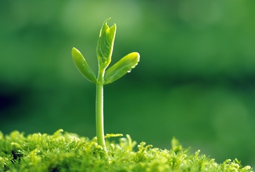 Занятие детского экспериментального клуба «ЭКО‑кидс»