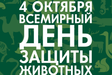 Занятие детского экспериментального клуба «ЭКО‑кидс»