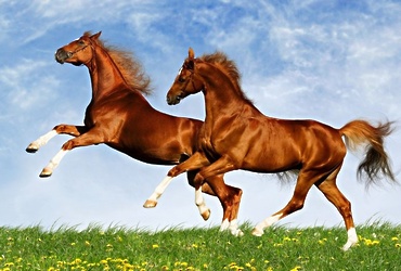 Занятие детского экспериментального клуба «ЭКО‑кидс»