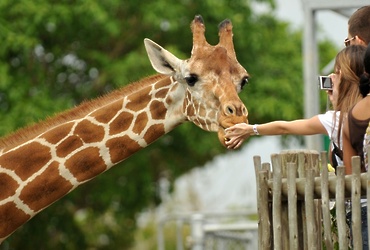 Занятие детского экспериментального клуба «ЭКО‑кидс»