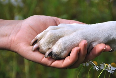Занятие детского экспериментального клуба «ЭКО‑кидс»
