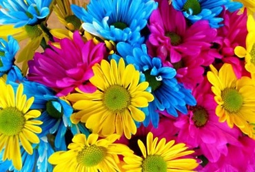 «Карнавал цветов»