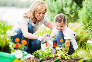 «Мы сажали огород»