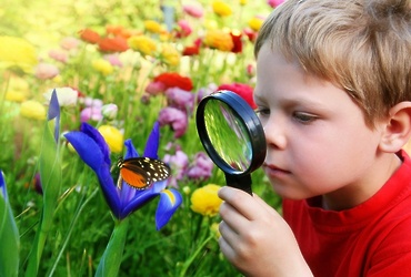 «Эти забавные насекомые»