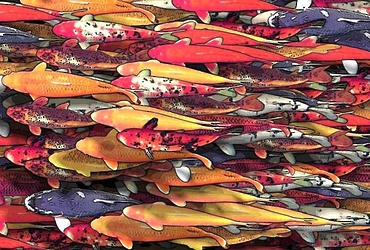 «Коинобори»