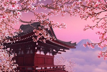 «Праздник любования цветами сакуры»