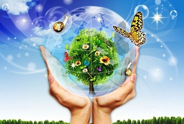 «Лес вокруг нас»