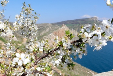 «Крымская весна»