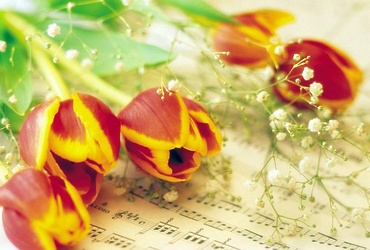 «Музыкальный подарок»