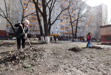 Реутов назван в числе лучших городов Подмосковья по уборке за прошедшую неделю