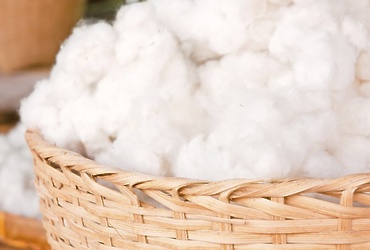 «Волшебная вата»