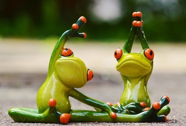 «Знакомство с жизнью и обитанием лягушек»