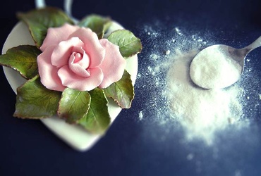 «Холодный фарфор»