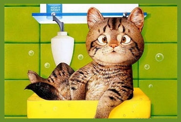 «Непослушный котенок»