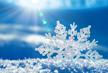 «Что мы знаем про снег?»