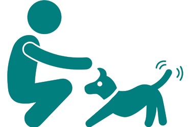 О новых правилах выгула собак рассказали жителям Реутова