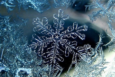 «Серебристый иней»