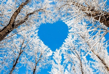 «Зима пришла»