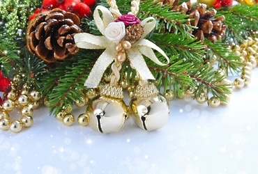 «Еловые композиции»