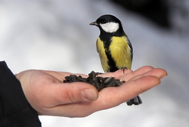 Занятие детского экспериментального клуба «ЭКО‑кидс»