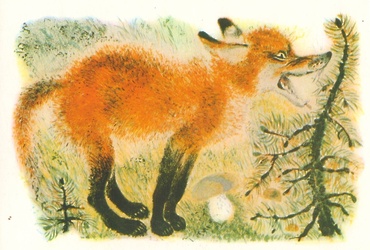 «Звери и птицы Евгения Чарушина»