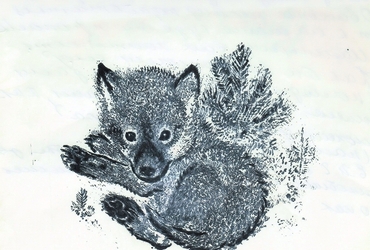 Евгений Чарушин