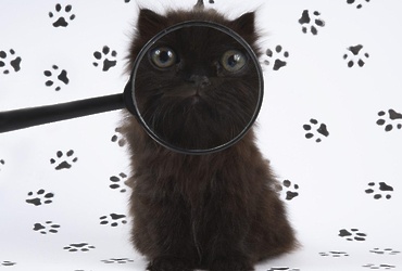 Занятие детского экспериментального клуба «ЭКО‑кидс»