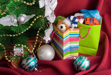 «Горячая линия» на предмет консультирования граждан по вопросам качества и безопасности детских товаров, выбору новогодних подарков