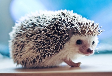 Занятие детского экспериментального клуба «ЭКОкидс»