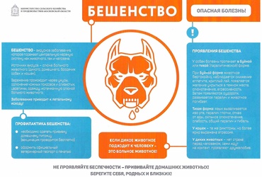 Бешенство — это актуально и очень опасно