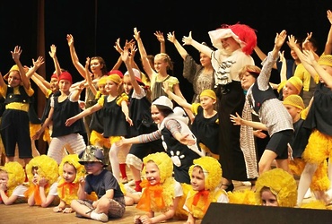 Юбилейный концерт МАУ ДО «Школа искусств – детский музыкальный театр»