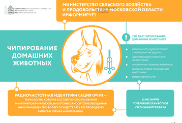 Что даёт чипирование домашних животных