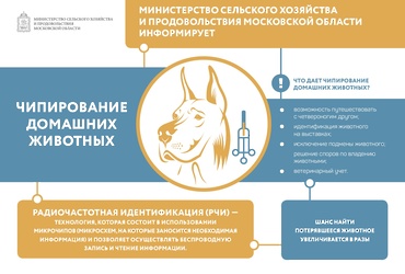 Что дает чипирование домашних животных