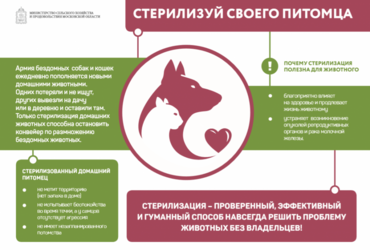 Стерилизуй своего питомца