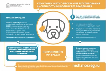 Что нужно знать о программе регулирования численности животных без владельцев